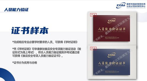 企业设立食品安全总监，守护人民群众“舌尖上的安全”——餐饮企业管理的核心与实践